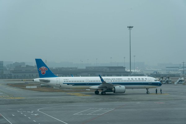 Quels sont les meilleurs itinéraires pour une randonnée en forêt de bambous au Japon ?